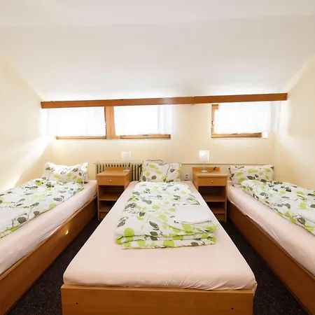 Dvorska Bouda 3*